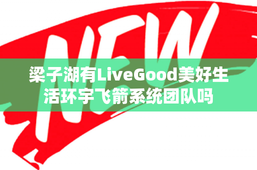 梁子湖有LiveGood美好生活环宇飞箭系统团队吗