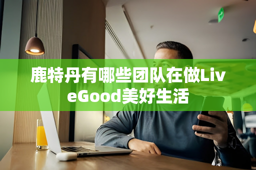 鹿特丹有哪些团队在做LiveGood美好生活