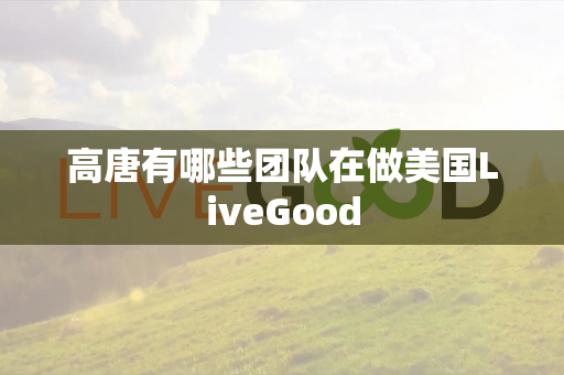 高唐有哪些团队在做美国LiveGood